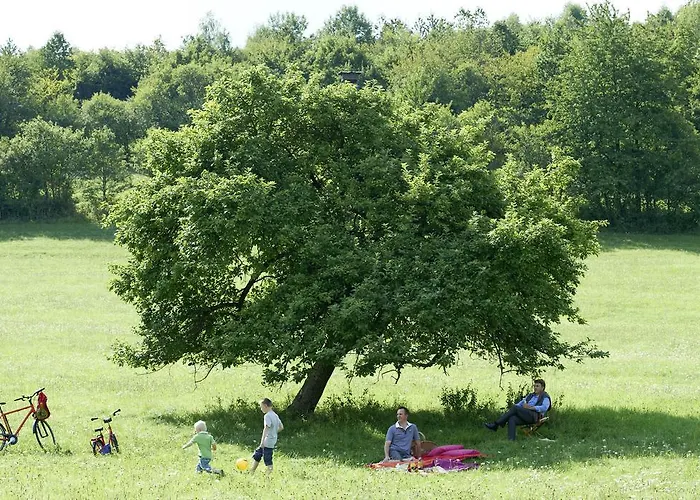 罗施之友酒店 酒店